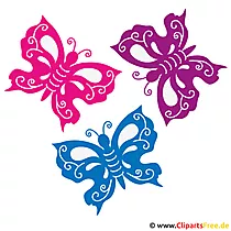 Πολύχρωμες πεταλούδες Εικόνα - Καλοκαιρινές εικόνες δωρεάν