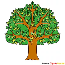 Eiche Clipart - Kostenlose Bilder zum Sommer