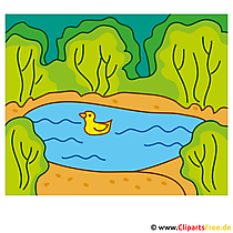 Ente im Teich Clipart  - Lizenzfreie und kostenlose Bilder zum Sommer