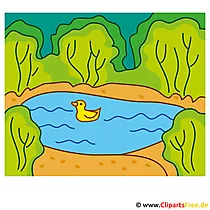 Ente im Teich Clipart  - Lizenzfreie und kostenlose Bilder zum Sommer