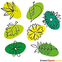 Kostenlose Bilder zum Sommer - Blaetter, Blumen, Pflanzen