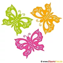 Schmetterlinge Bild - Sommer Bilder gratis