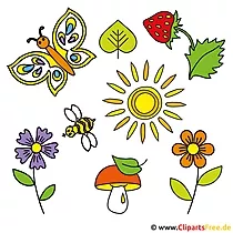 Sommer Bilder gratis - Pilz, Sonne, Erdbeere, Blume, Biene