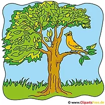 Sommer Cliparts - Vogel auf dem Baum