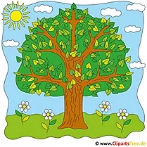 Sommer Cliparts gratis - Cartoonbaum