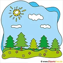 Tannen Clipart - Lizenzfreie und kostenlose Bilder zum Sommer