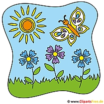 Zyane Clipart - kostenlose Bilder zum Sommer