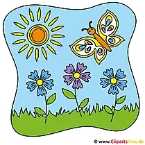 Zyane Clipart - kostenlose Bilder zum Sommer