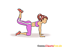40 Fitnessstudio Cliparts Bilder Grafiken Kostenlos Gif Png Jpg
