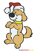 Witziges Bild zu Weihnachten