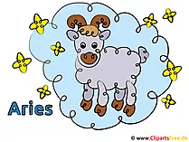 Widder Zodiac Bilder