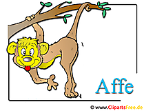 Affe Clipart-Bild Zoo
