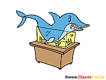Aquarium Clipart, Bild, Comic, Cartoon gratis