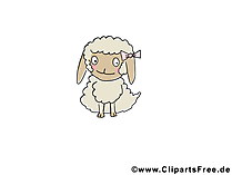 Baby Cartoon Bilder von Tieren - Schaf Baby