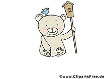 Baer Bild - Tierbilder gratis Baer Bild - Tierbilder gratis