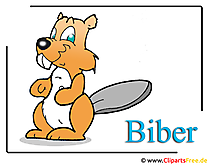 Biber Clipart free