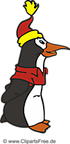 Cartoon Pinguin Clip Art, Illustration, Bild
