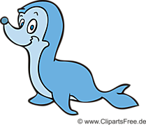 Cartoon Seehund Clipart, Bild, Illustration Cartoon Seehund Clipart, Bild, Illustration