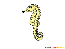 Clipart Seepferdchen