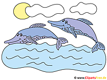 Delfine im Mittelmeer Bild