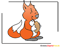 Eichhörnchen Clipart Cartoon Bild free
