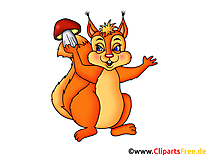 Eichhörnchen Clipart, Grafik, Illustration, Bild gratis