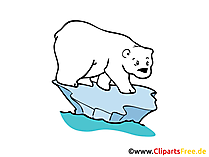 Eisbär Bild, Clipart, Zeichnung in Hochaufloesung