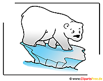 clipart kostenlos eisbär - photo #22