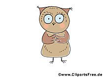 Eule Bild-Clipart - lustige Tierbilder gratis