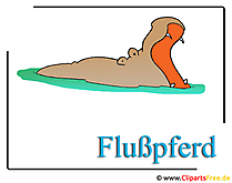 Flusspferd Cartoon Cliparts free