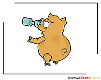 Foto Clipart free - Schweinchen Bild