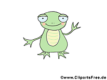 Frosch Bild - lustige Tierbilder download kostenlos