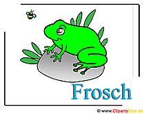 Frosch Cliparts free