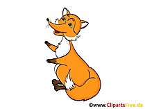Fuchs Clipart, Grafik, Illustration, Bild gratis