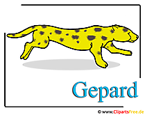 Gepard Bild-Clipart free
