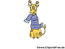 Giraffe mit Erkaeltung - lustige Bilder mit Tieren Giraffe mit Erkaeltung - lustige Bilder mit Tieren