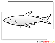 Hai Cliparts free Meerestiere