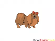 Chihuahua Clipart - Hunderassen Bilder zum Drucken