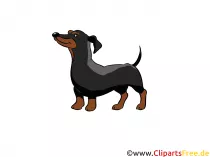 Dackel Clipart Hunderassen Bilder zum Drucken