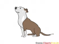 Hund Clipart Hunderassen Bilder zum Drucken