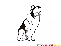 Schwarz-weiss Clipart Collie - Hunderassen Bilder gratis