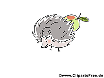 Igel Bild, Clipart, Illustration, Grafik kostenlos