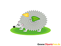 Igel Clipart, Grafik, Illustration, Bild gratis