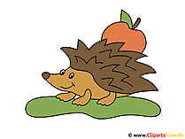 Igel mit Apfel Comic