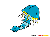 Jellyfish Clip Art, Picture, Image free