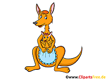 Känguru Clipart, Grafik, Illustration, Bild gratis