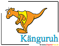 Känguru Bild - Clipart Zoo