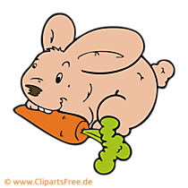 Kaninchen Clipart, Bild, Cartoon, Grafik, Illustration Kaninchen Clipart, Bild, Cartoon, Grafik, Illustration