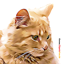 Katze Clipart, Illustration, Bild