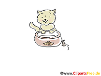Katze trinkt Milch Cartoon, Clipart, Bild, Illustration